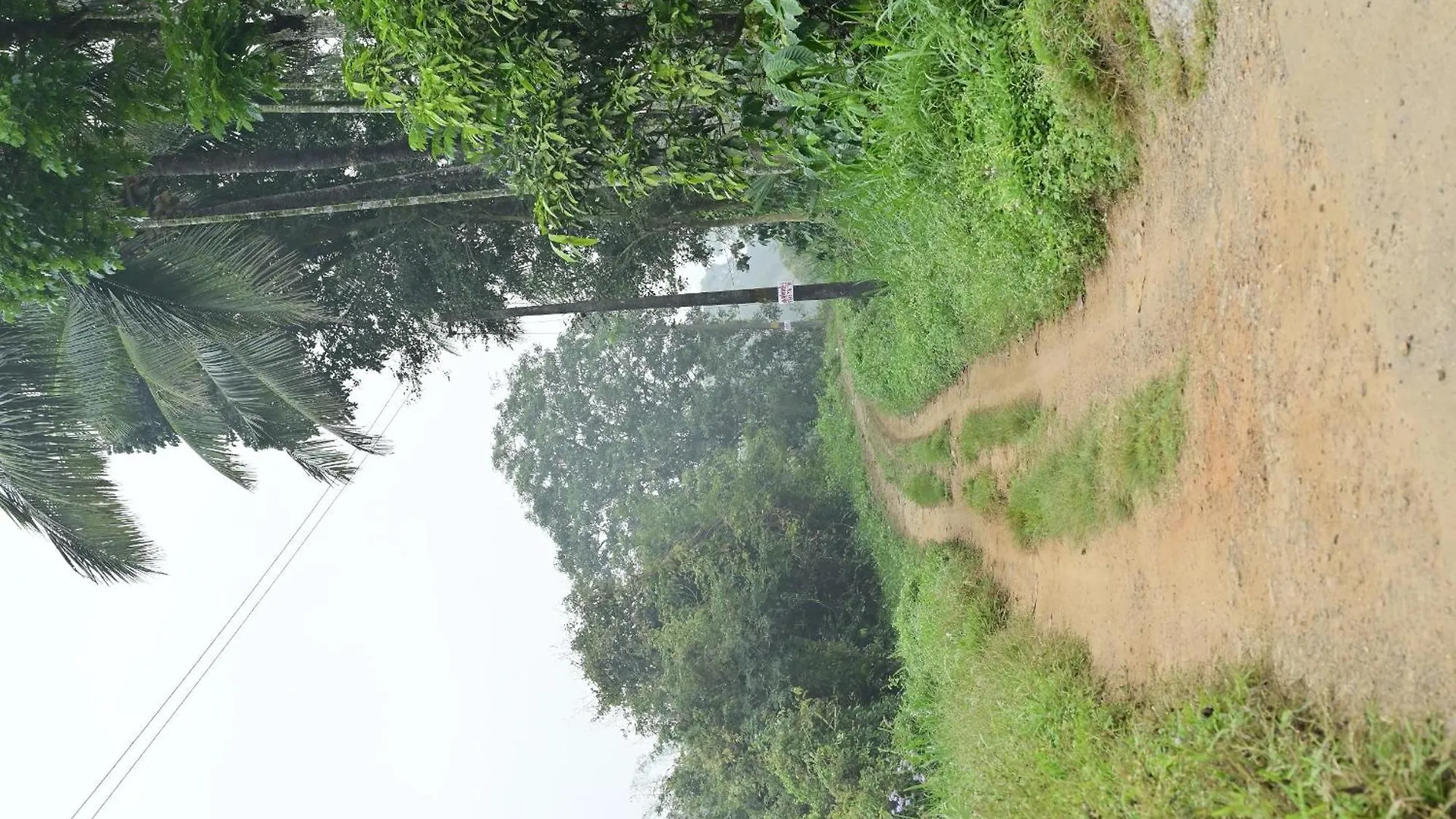 Sansree Homestay Mananthavady 0*,  India