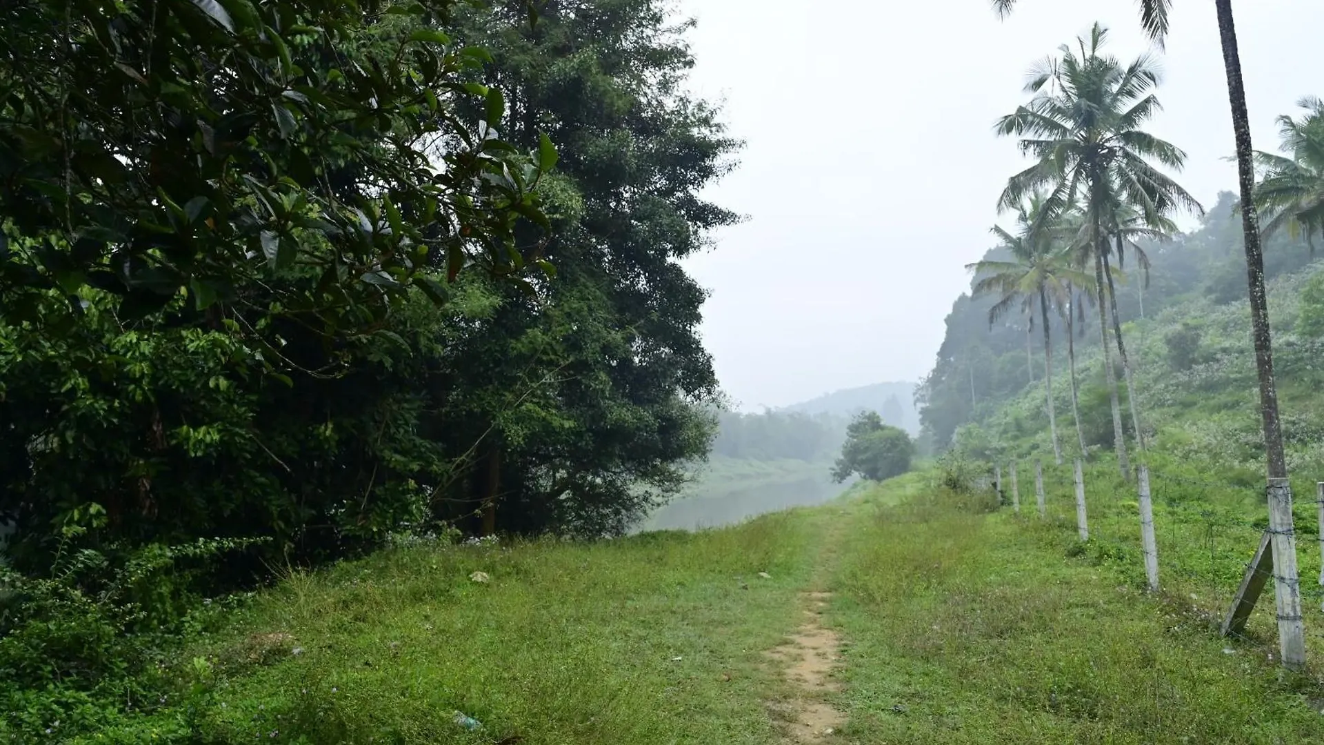 Sansree Homestay Mananthavady 0*,