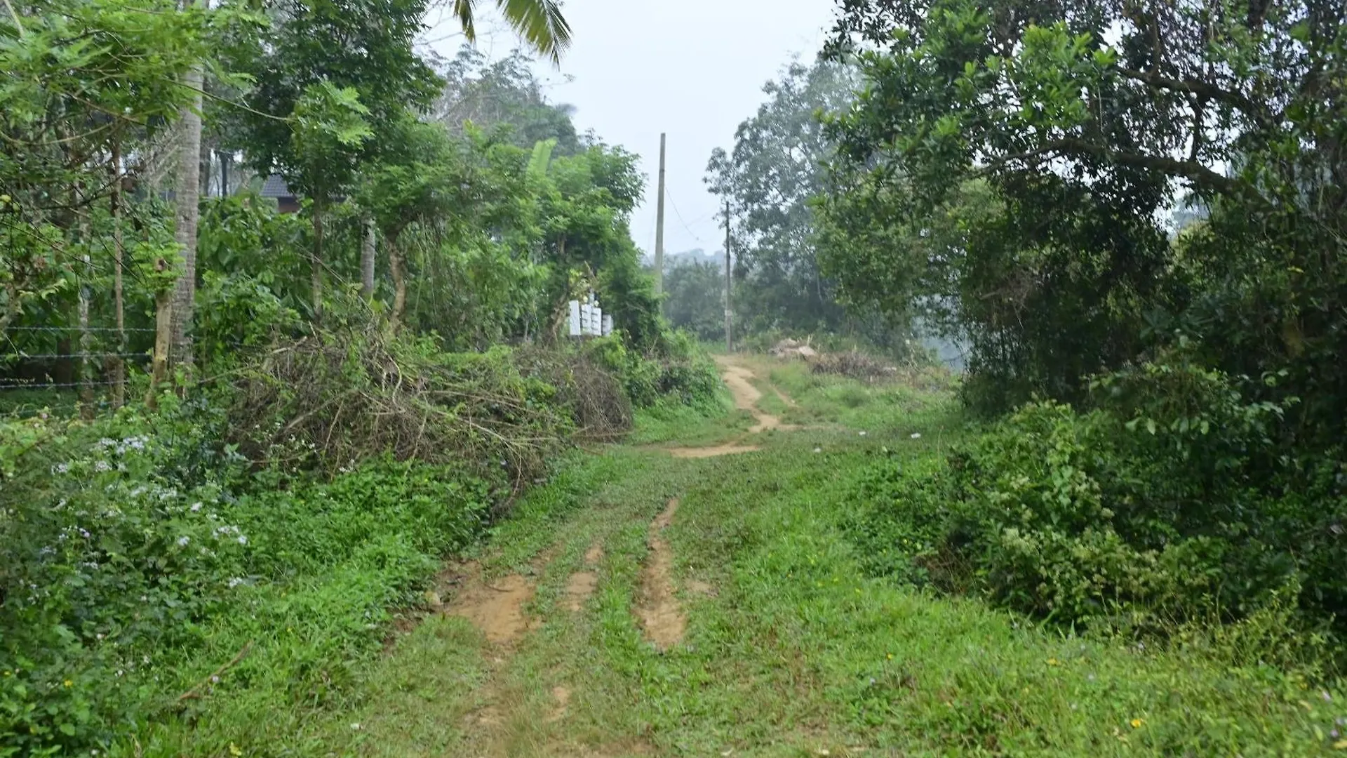 Sansree Homestay Mananthavady 0*,  India