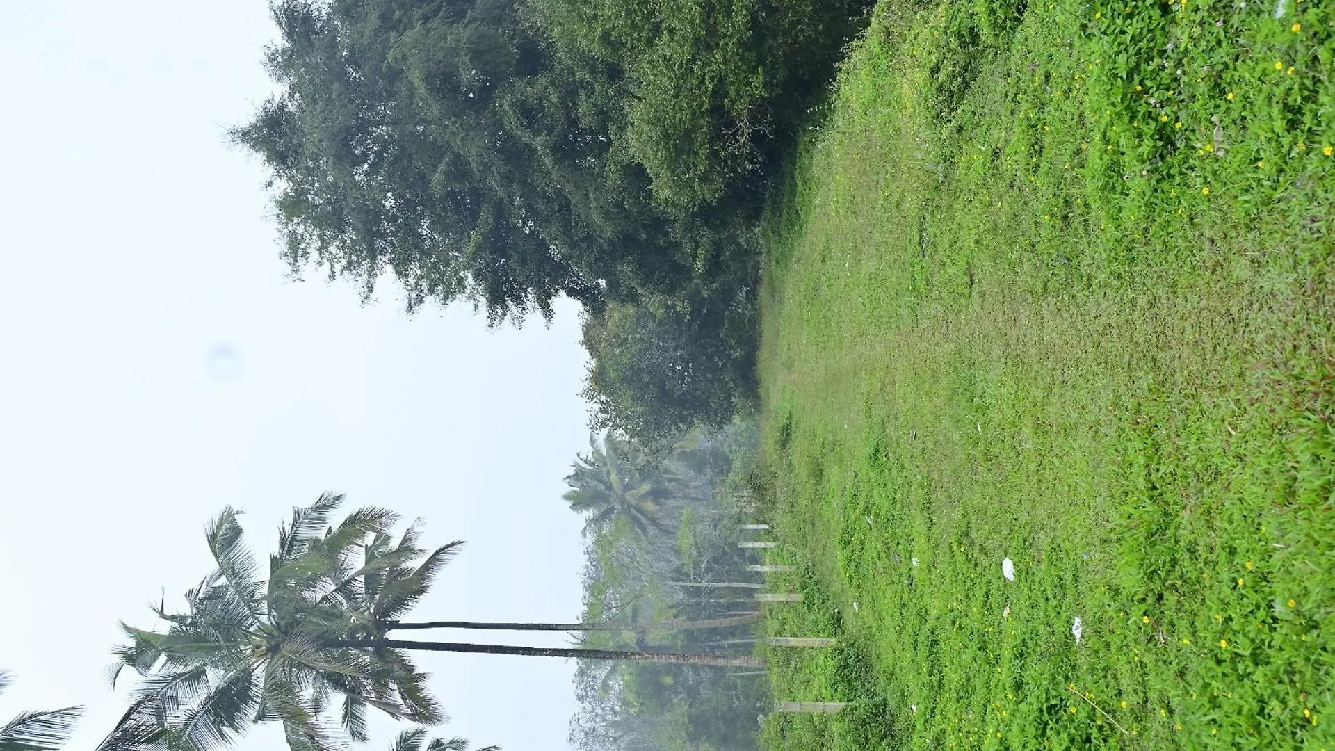 Sansree Homestay Mananthavady
