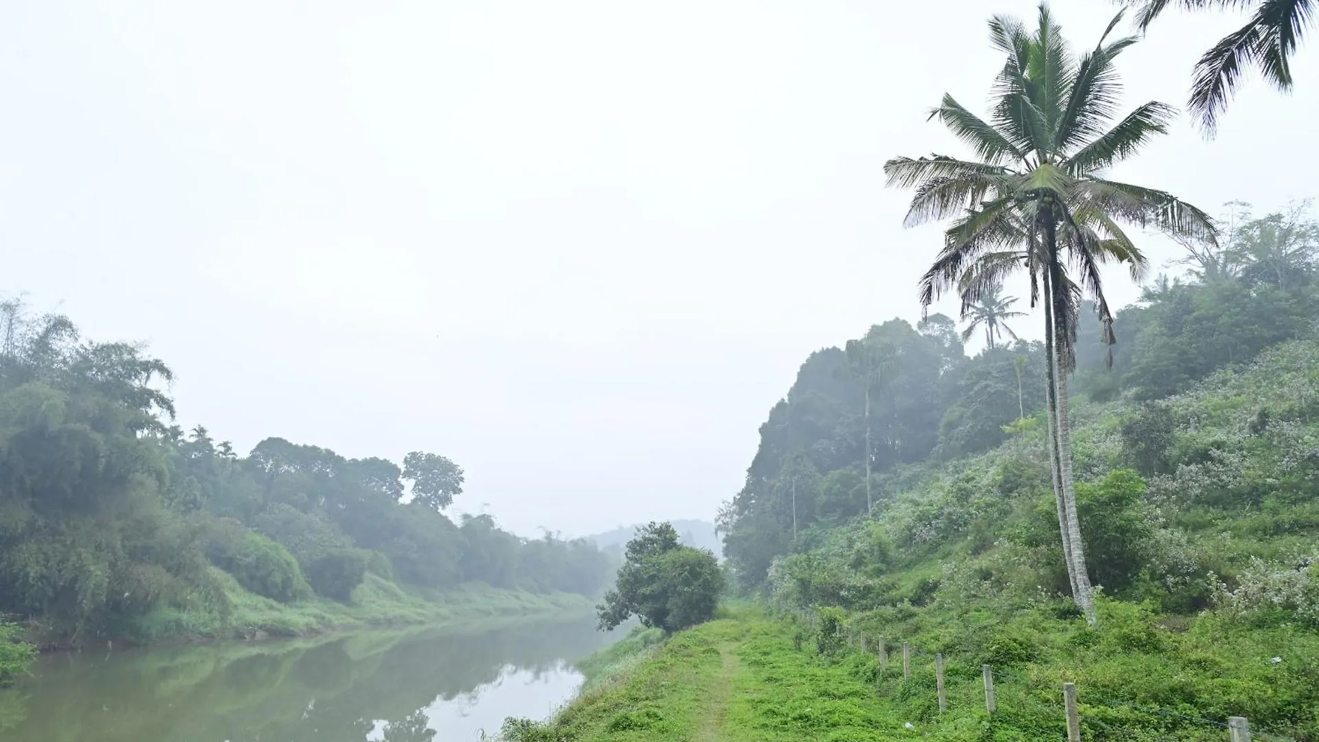 Sansree Homestay Mananthavady