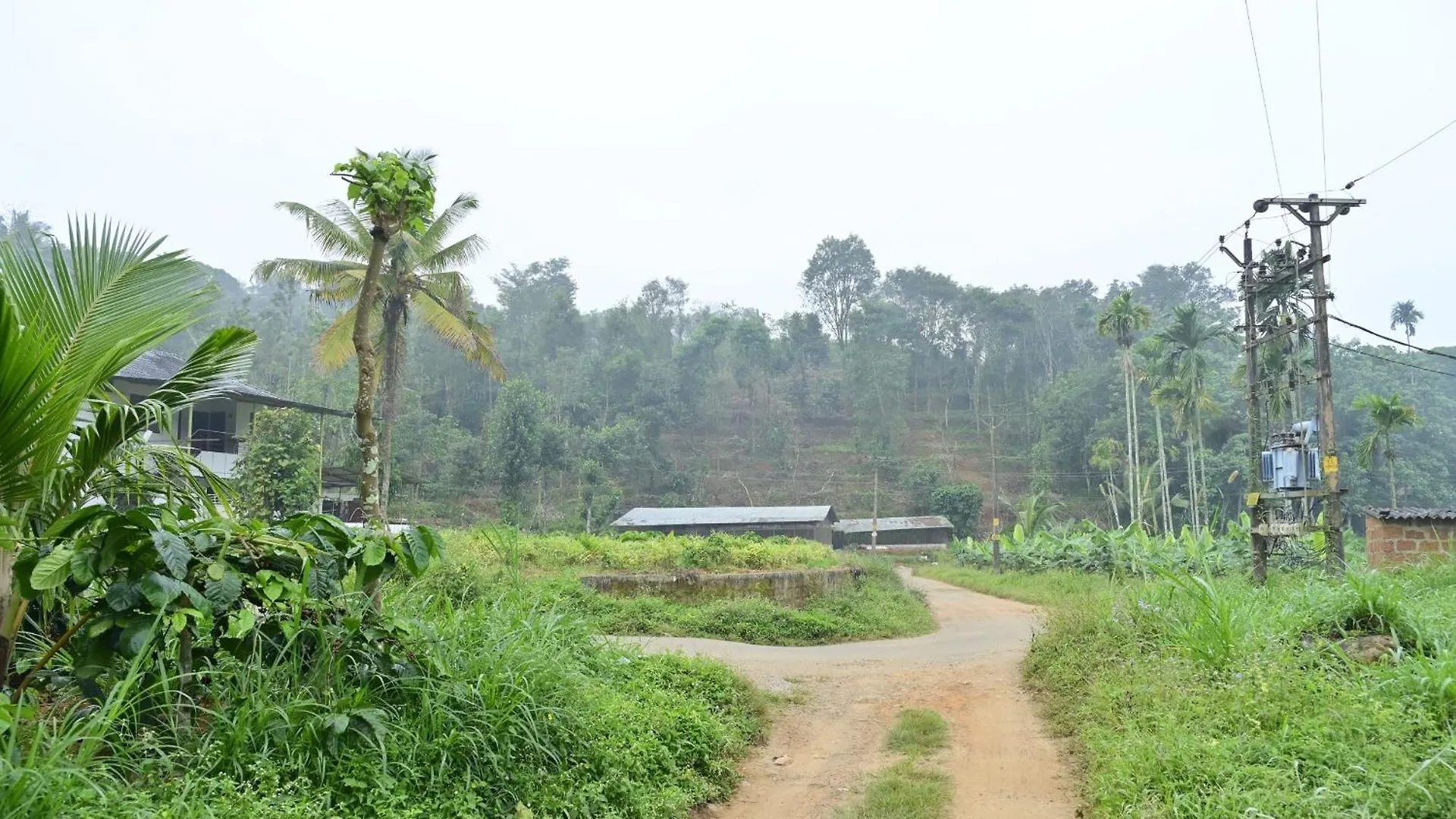 Sansree Homestay Mananthavady