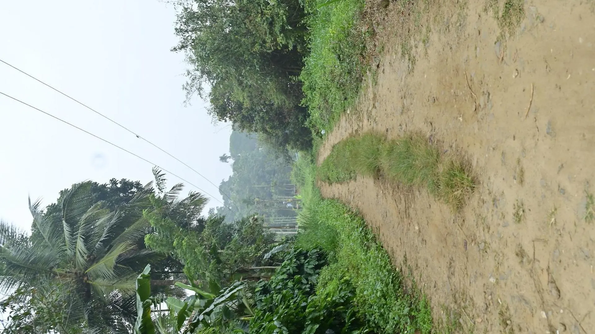 Sansree Homestay Mananthavady India