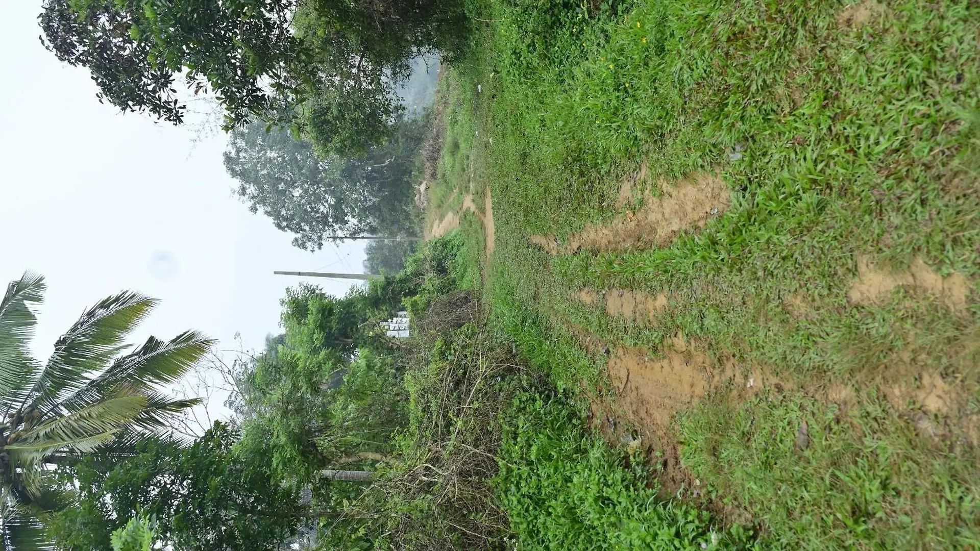 Sansree Homestay Mananthavady 0*,  India