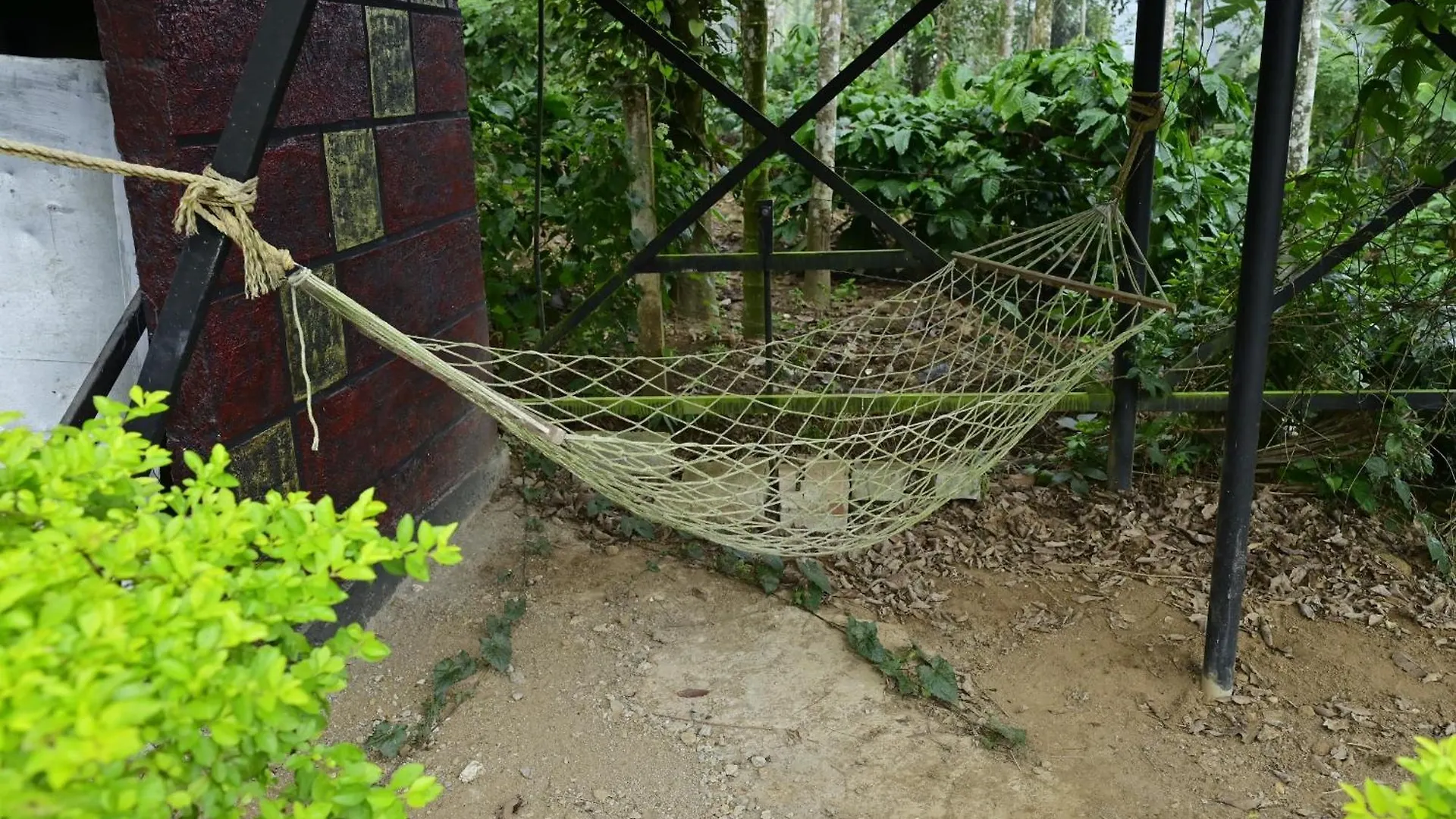 Sansree Homestay Mananthavady