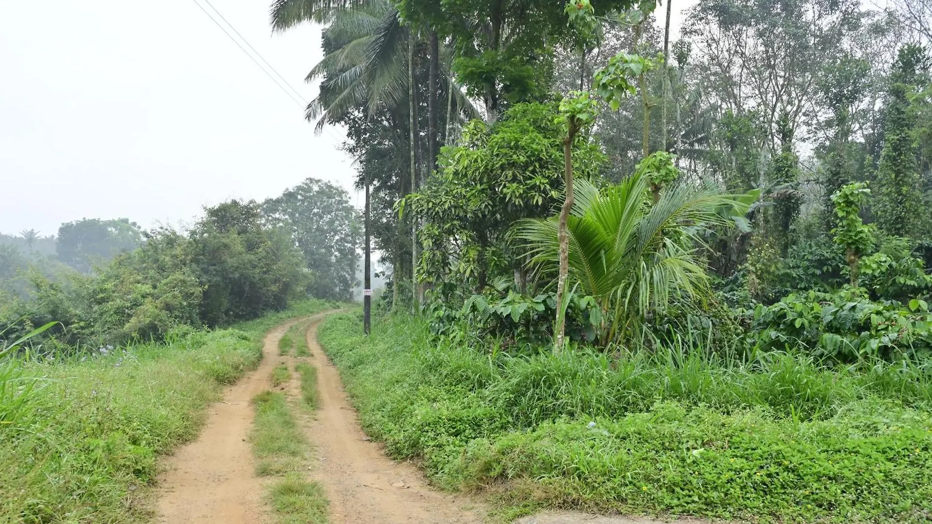 Sansree Homestay Mananthavady